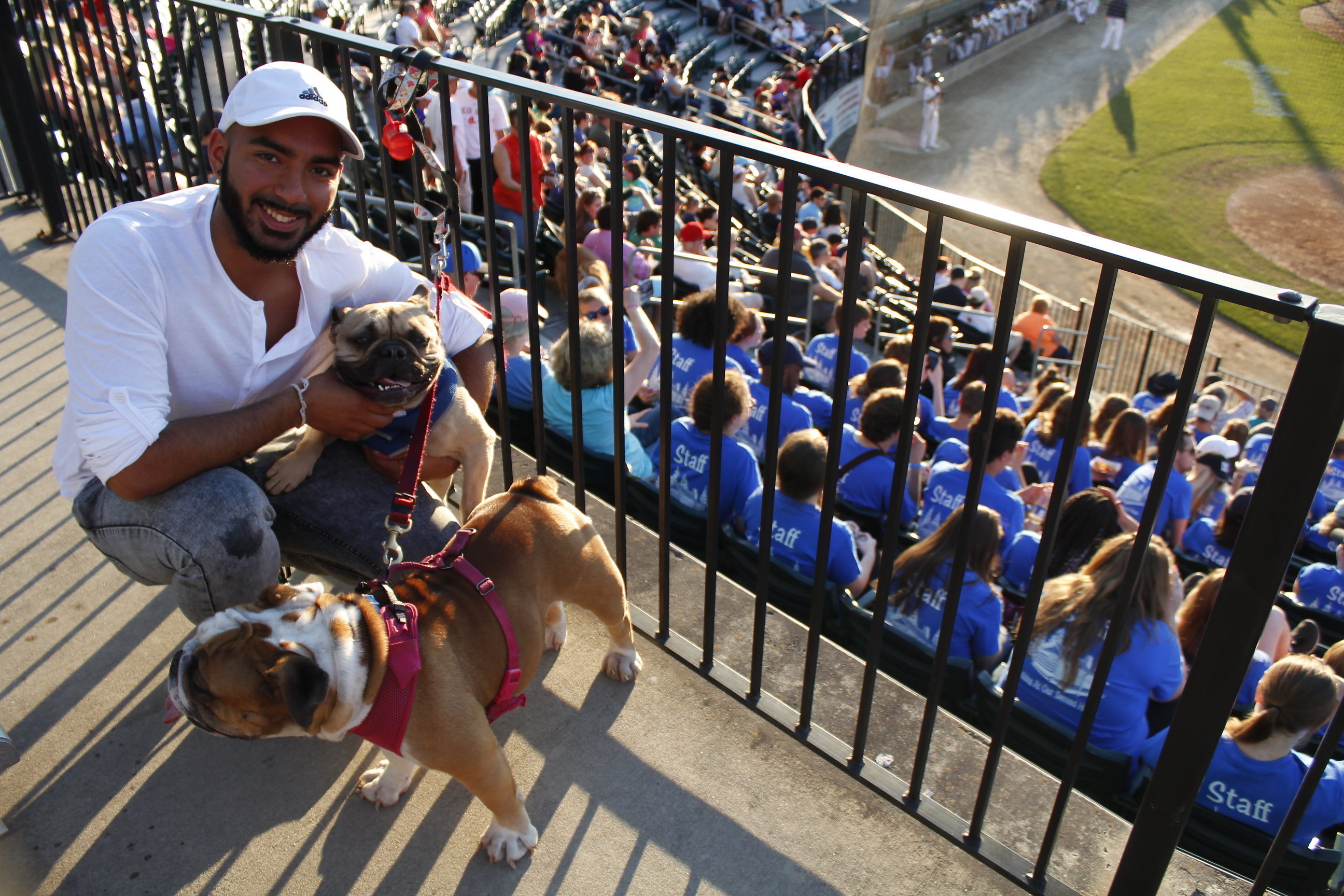 Bark In The Park at Dodger Stadium